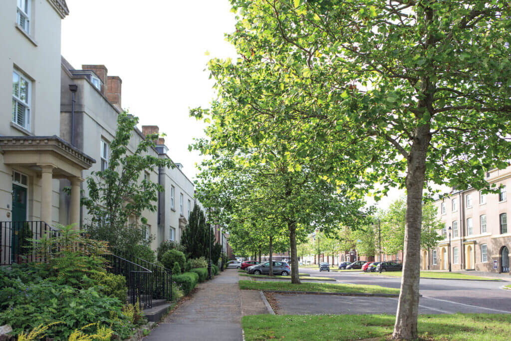 Green trees line the pavements and roads next to rows of town houses